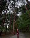 katie_westwood Altpins Profile Picture