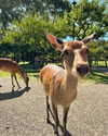 katie_westwood Altpins Profile Picture