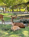 katie_westwood Altpins Profile Picture