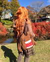 katie_westwood Altpins Profile Picture