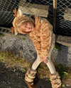 katie_westwood Altpins Profile Picture