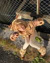 katie_westwood Altpins Profile Picture