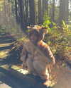 katie_westwood Altpins Profile Picture