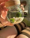katie_westwood Altpins Profile Picture