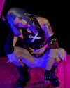 katsumiau Altpins Profile Picture
