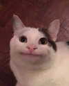 kayleeeboop Altpins Profile Picture