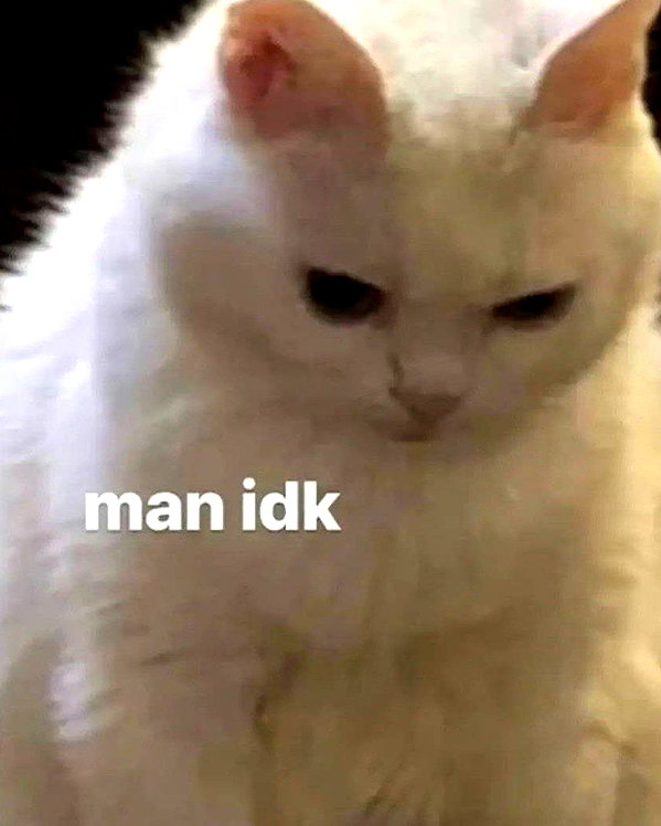 kayleeeboop instagram image archive image