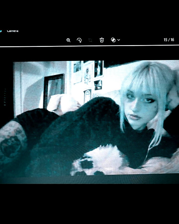 kayleeeboop kayleeeboop archive image
