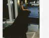 kendalljenner Altpins Profile Picture