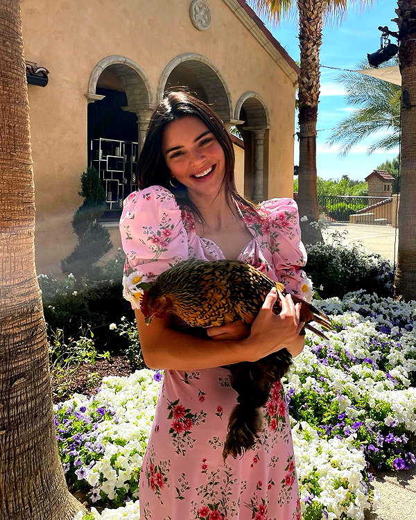 kendalljenner instagram image archive image