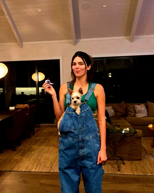 kendalljenner instagram image archive image