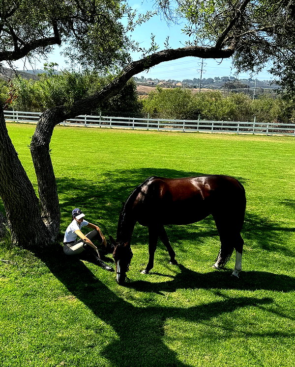 kendalljenner instagram image archive image