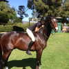 kendalljenner Altpins Profile Picture
