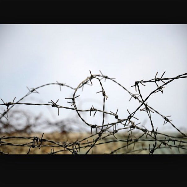 kesemgreenyer instagram image archive image