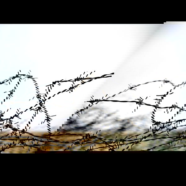 kesemgreenyer image ~ Altpins