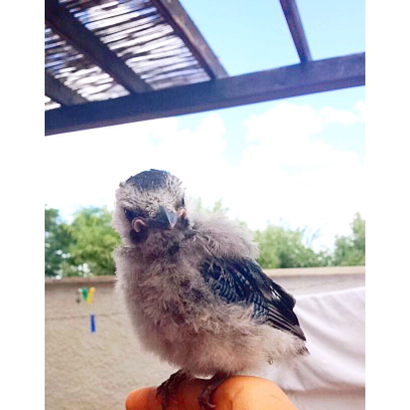 kesemgreenyer instagram image archive image