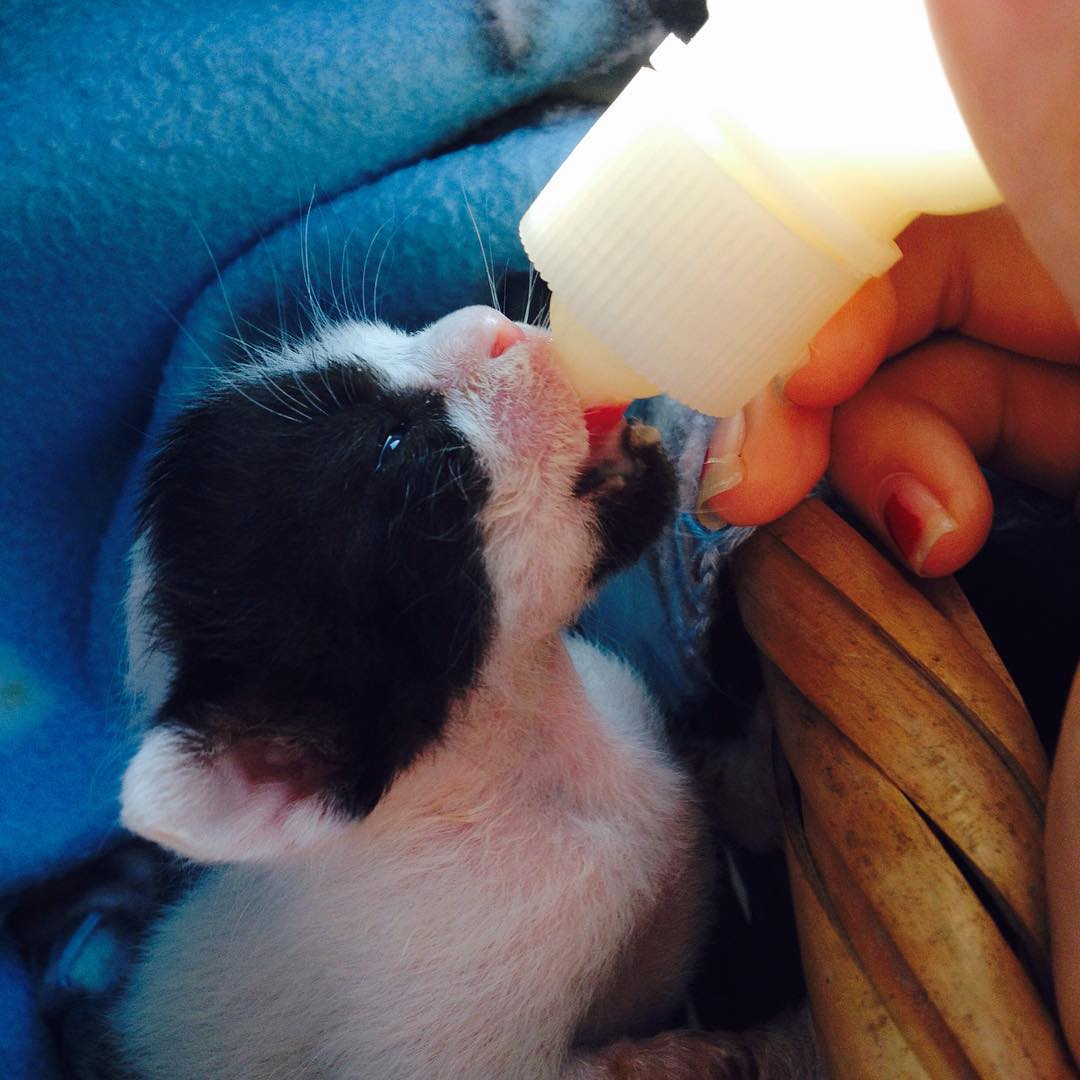 kesemgreenyer instagram image archive image