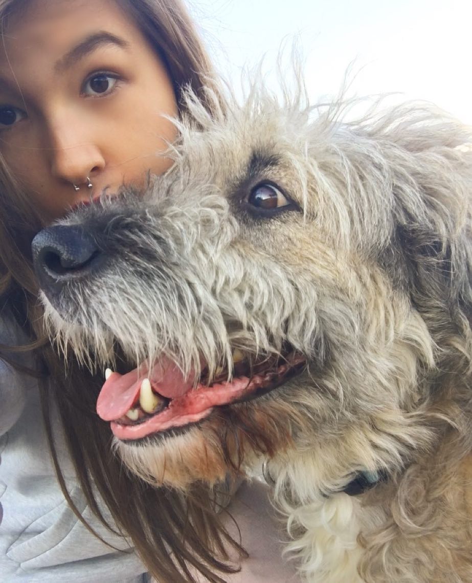 kesemgreenyer instagram image archive image