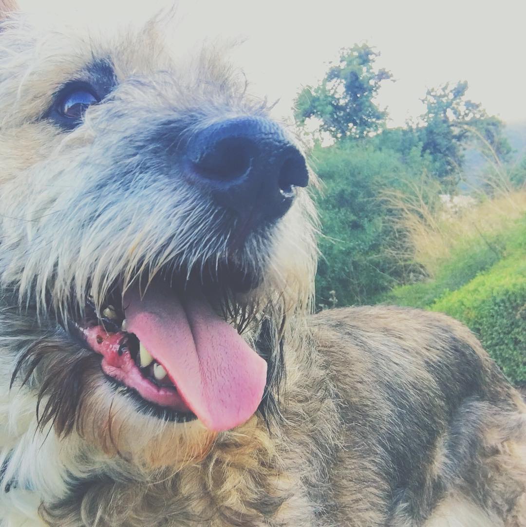 kesemgreenyer instagram image archive image