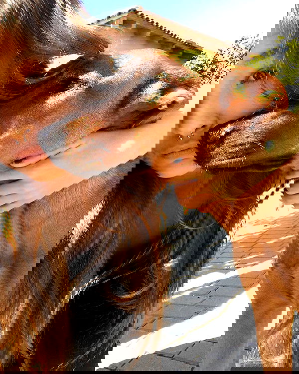 kesemgreenyer image ~ Altpins