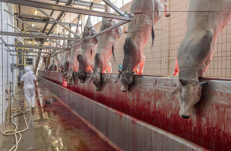 kesemgreenyer instagram image archive image