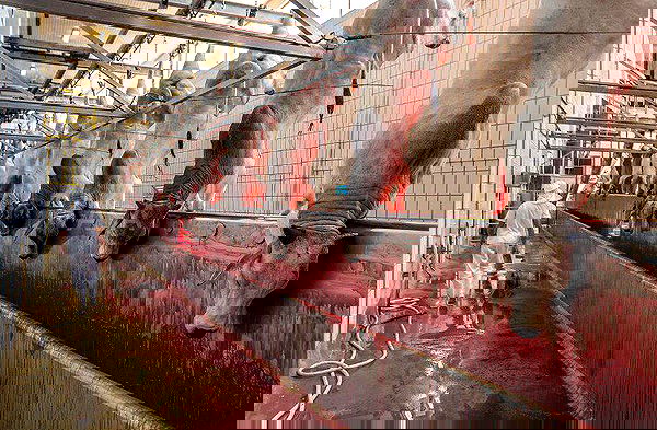 kesemgreenyer image ~ Altpins