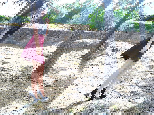 kesemgreenyer kesemgreenyer archive image