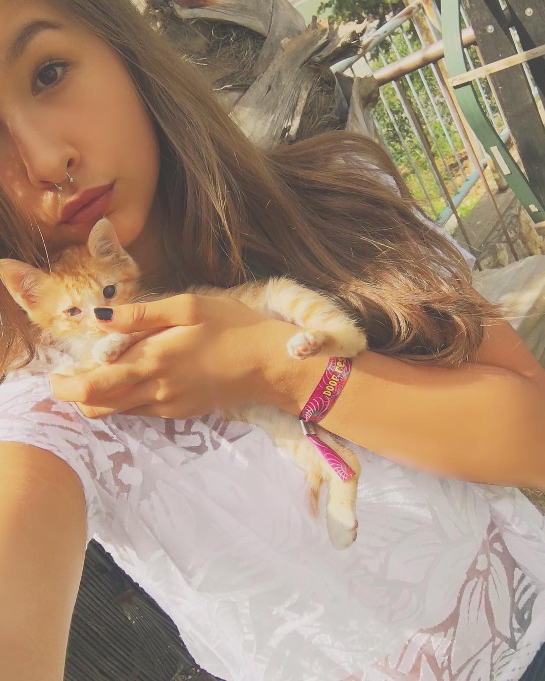 kesemgreenyer instagram image archive image