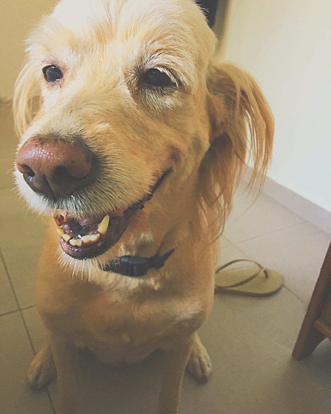 kesemgreenyer instagram image archive image