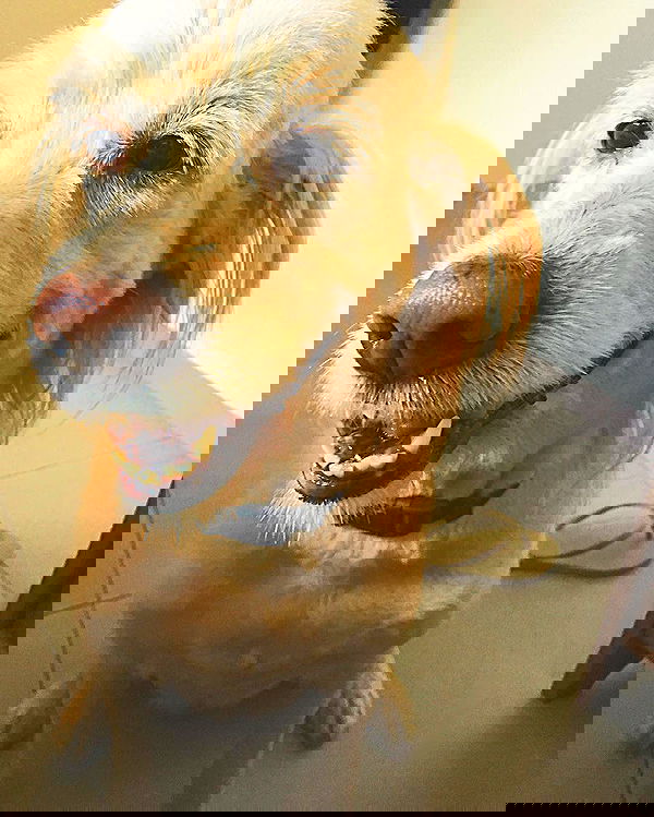 kesemgreenyer image ~ Altpins