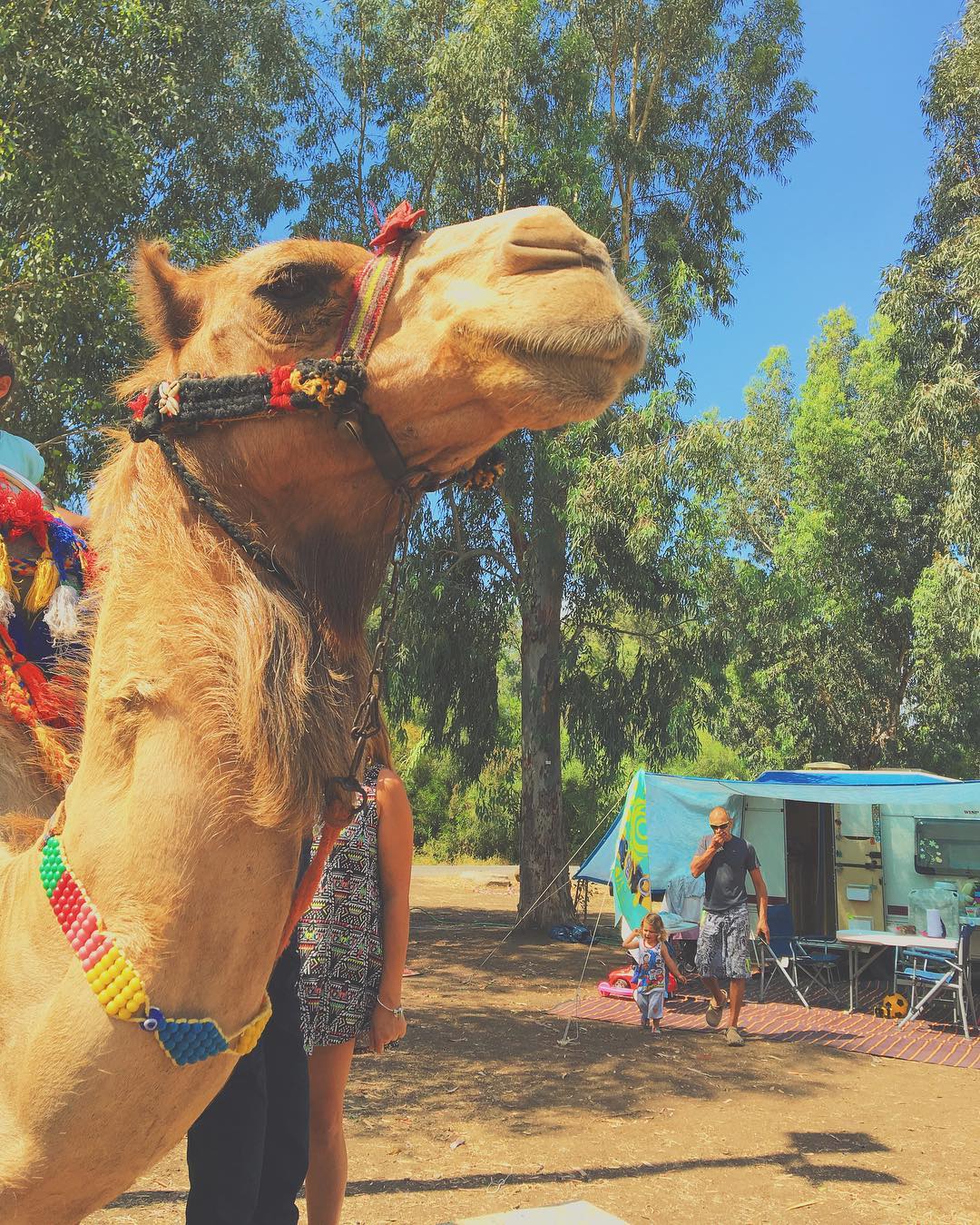 kesemgreenyer instagram image archive image