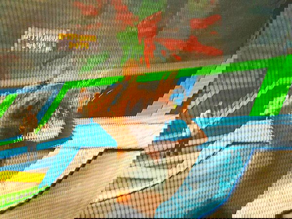 kesemgreenyer image ~ Altpins