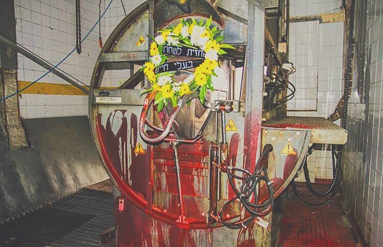 kesemgreenyer instagram image archive image