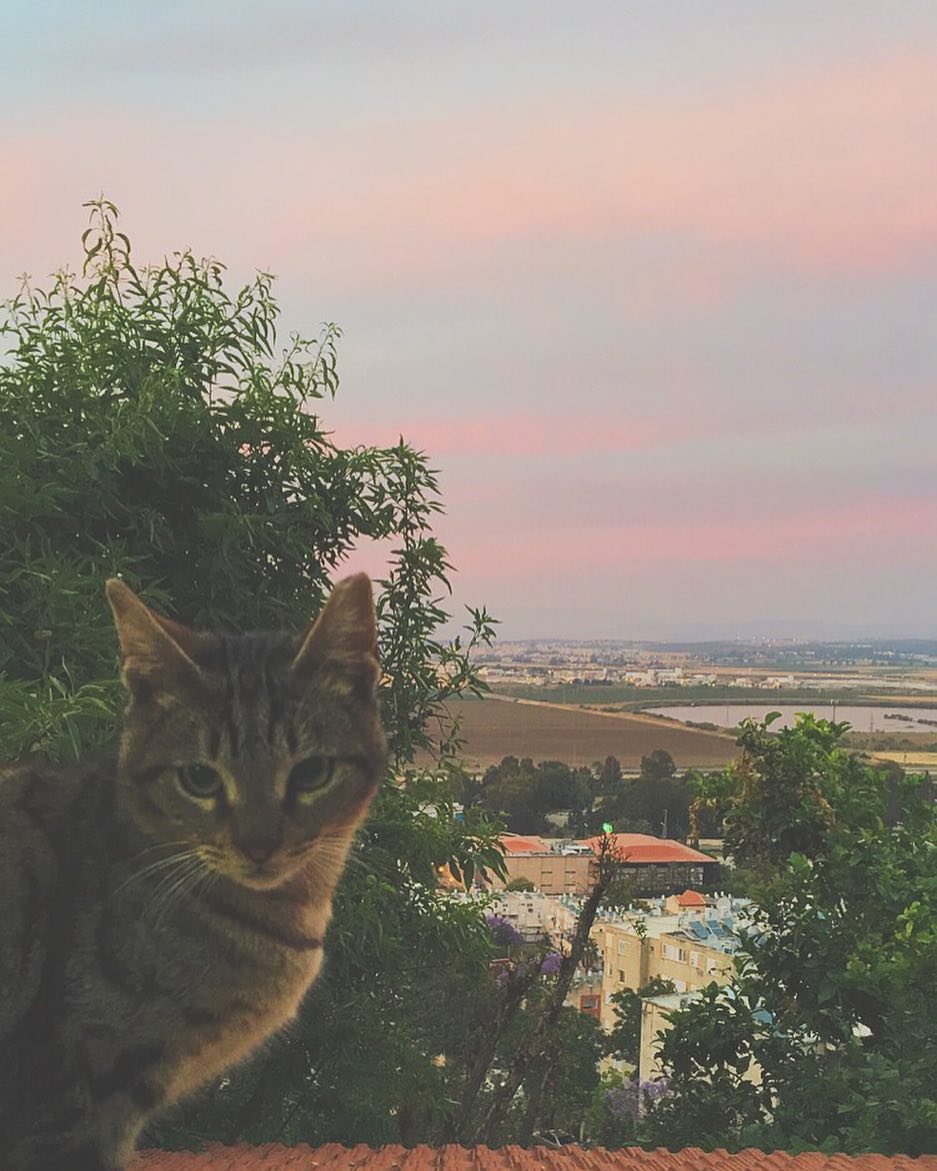 kesemgreenyer instagram image archive image