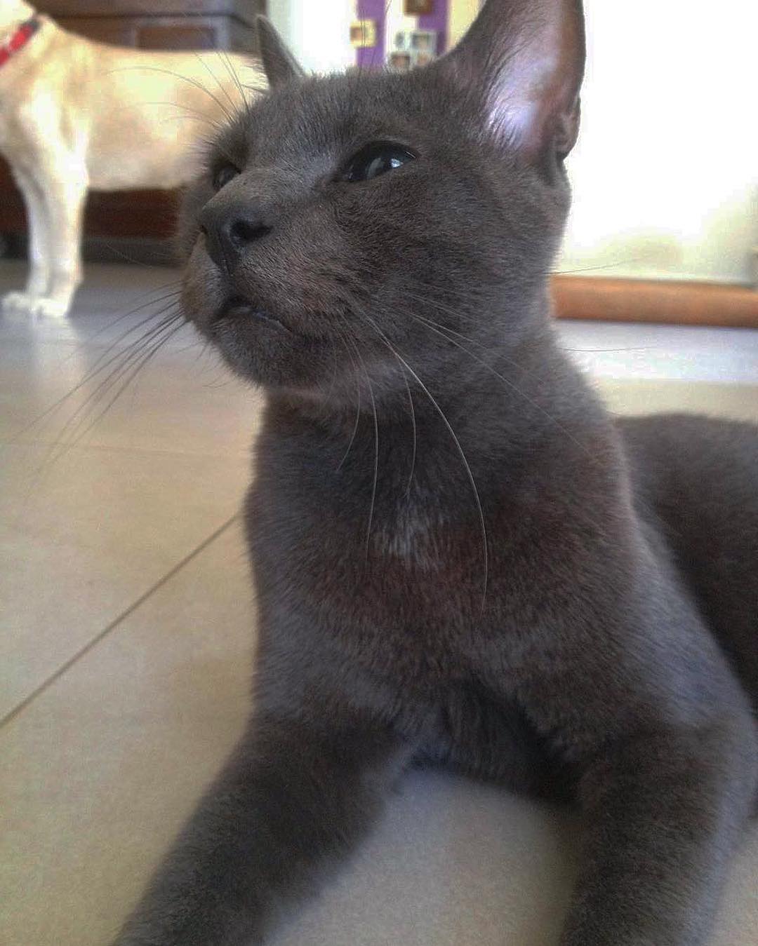 kesemgreenyer instagram image archive image