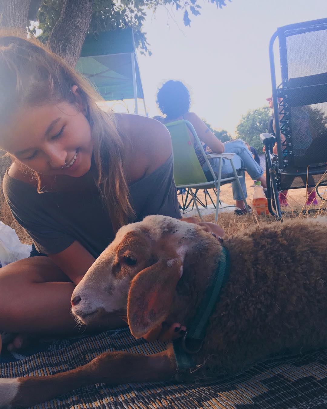 kesemgreenyer instagram image archive image