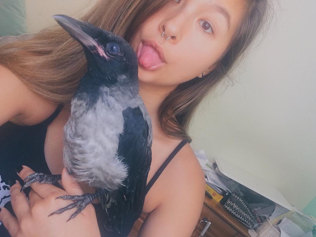 kesemgreenyer instagram image archive image