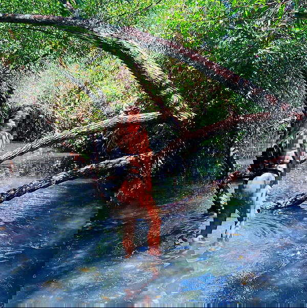 kesemgreenyer image ~ Altpins