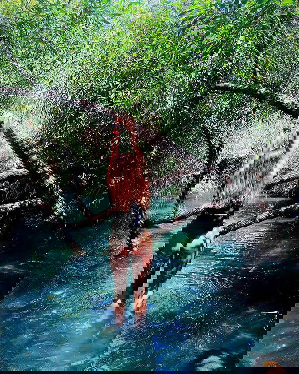 kesemgreenyer image ~ Altpins