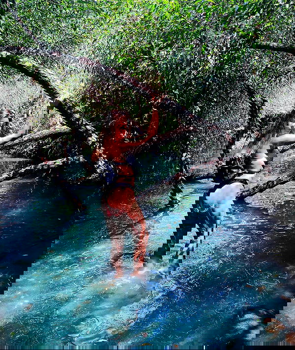 kesemgreenyer image ~ Altpins