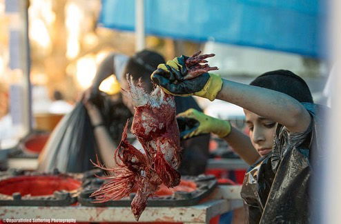 kesemgreenyer instagram image archive image