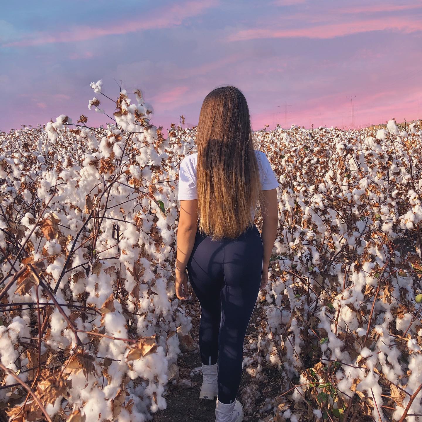 kesemgreenyer instagram image archive image