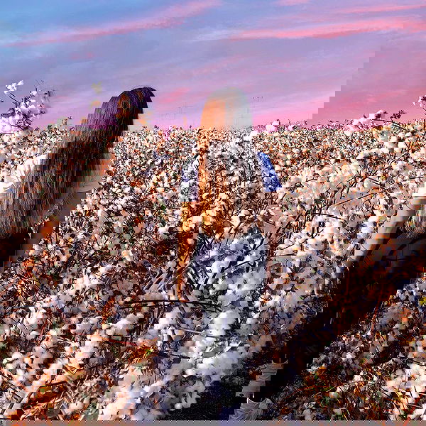 kesemgreenyer image ~ Altpins