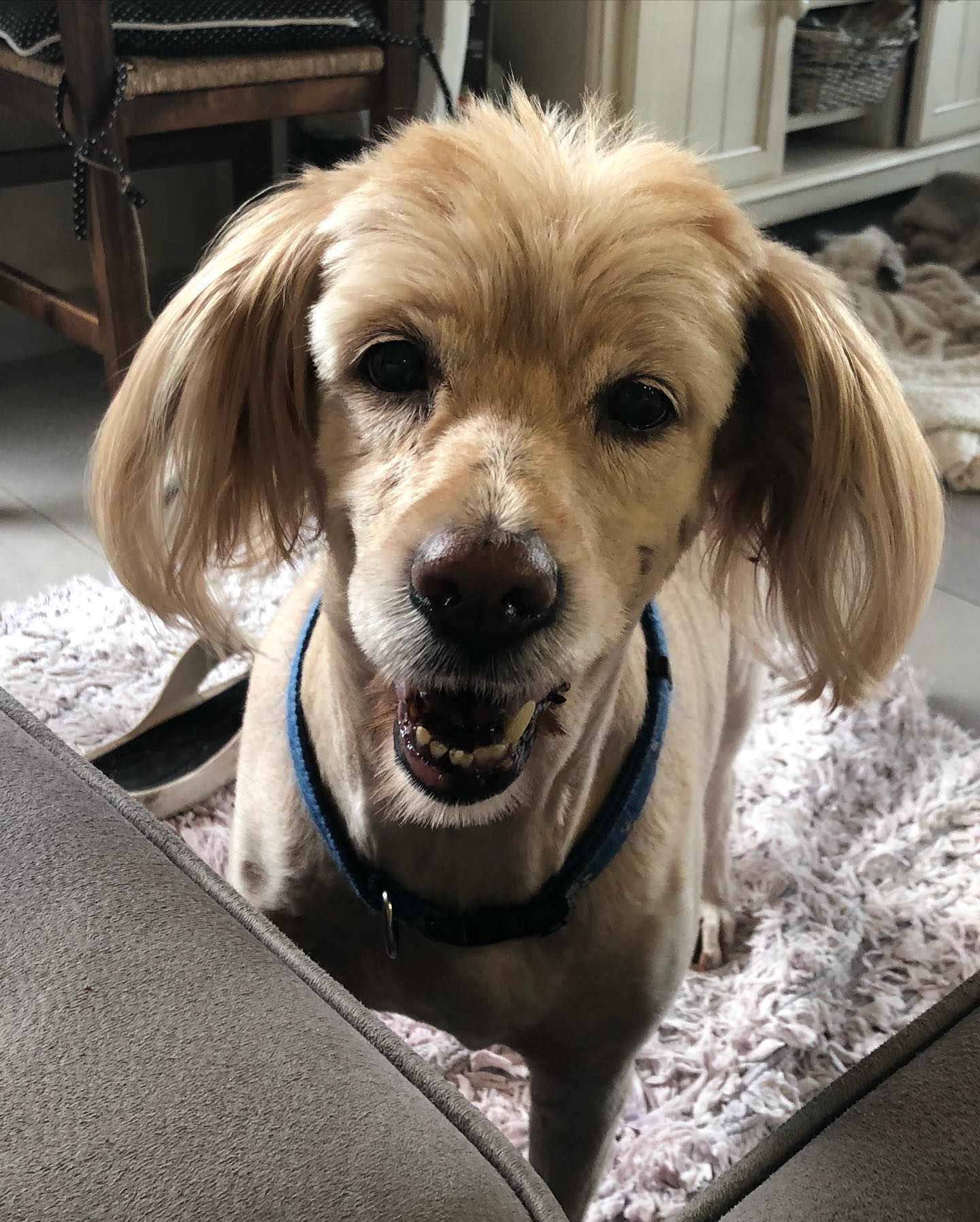 kesemgreenyer instagram image archive image