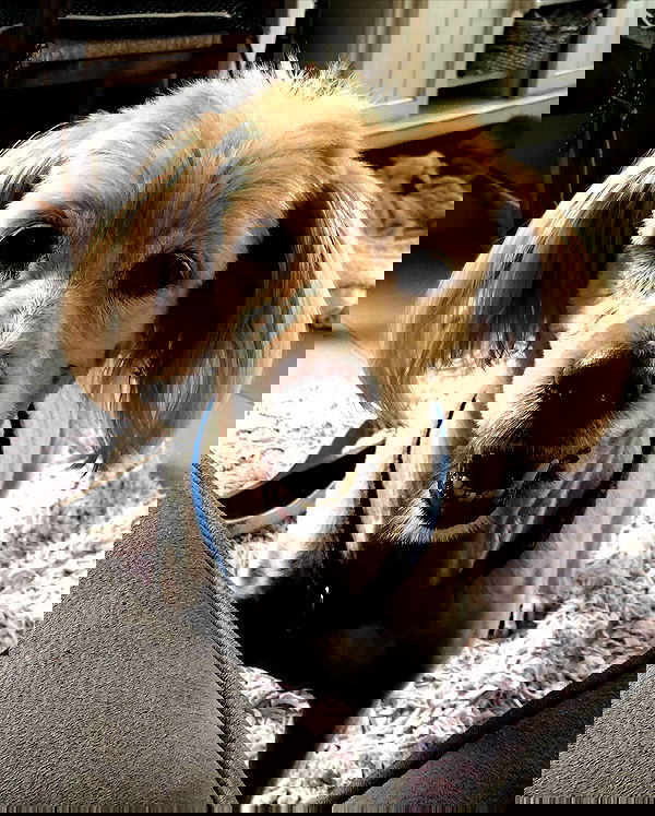 kesemgreenyer image ~ Altpins