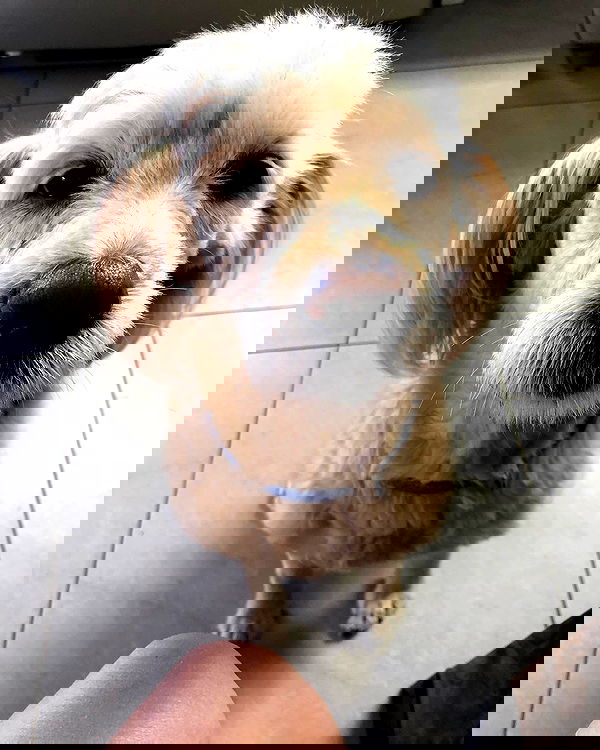 kesemgreenyer image ~ Altpins