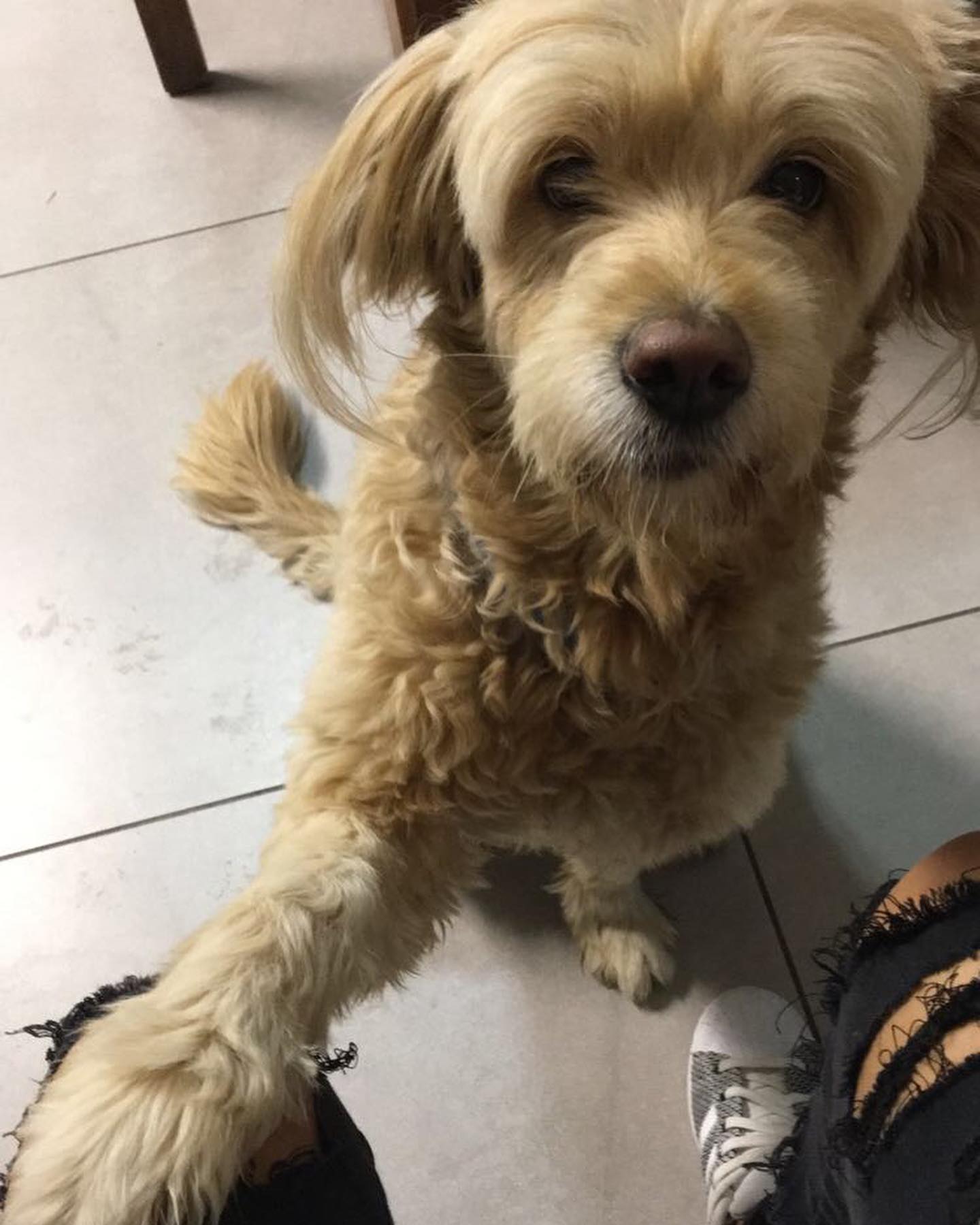 kesemgreenyer instagram image archive image