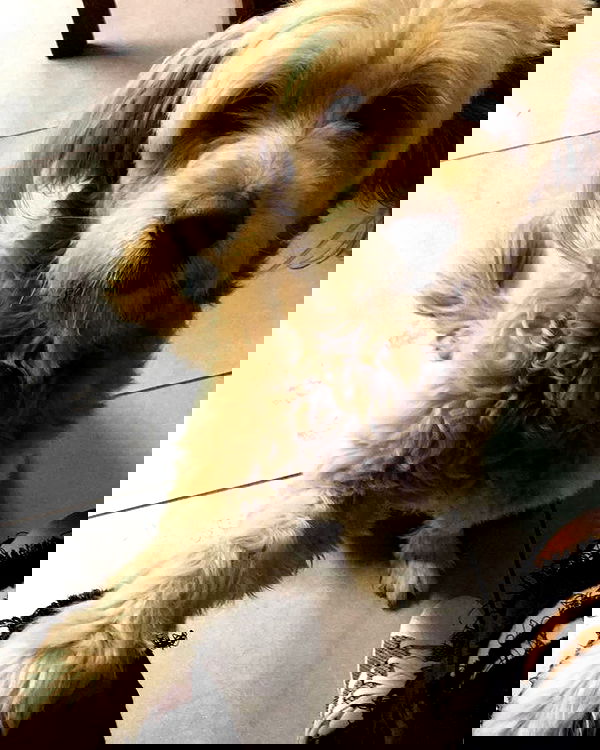 kesemgreenyer image ~ Altpins