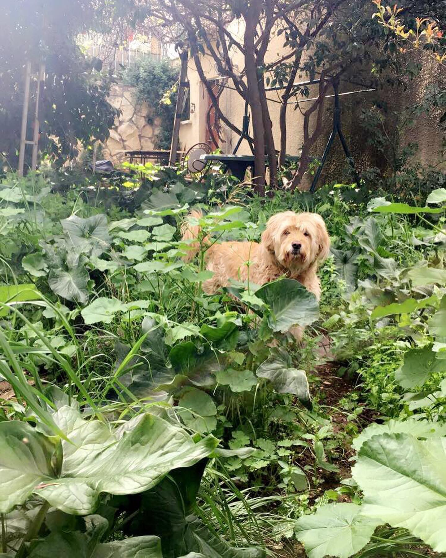 kesemgreenyer instagram image archive image