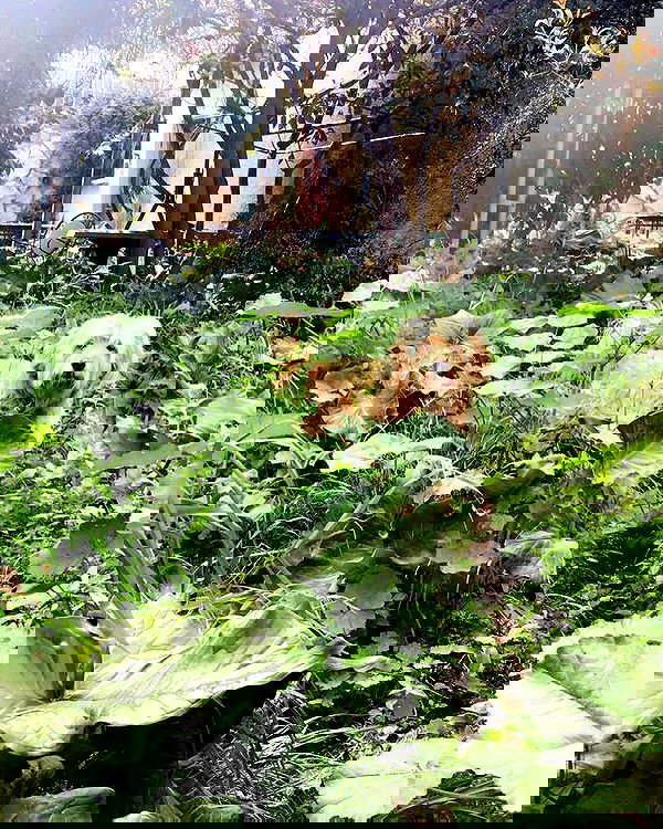 kesemgreenyer image ~ Altpins